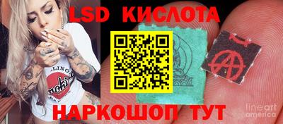 ПСИЛОЦИБИНОВЫЕ ГРИБЫ Камышлов