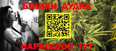 шишки Канаш
