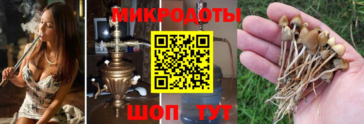Галлюциногенные грибы Magic Shrooms  Псилоцибиновые грибы прущие грибы  Воркута  Вход с VPN 